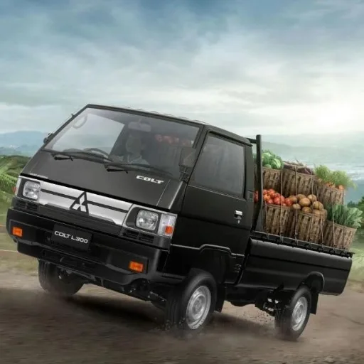 Mobil L300 Pick Up